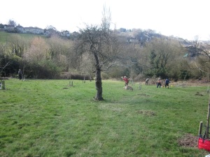 Richens Orchard 011