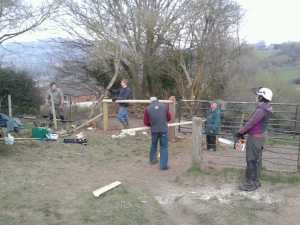 Fence building with the team.